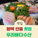 포승수산 | 평택 횟집 우리바다수산 재방문 후기｜안중 맛집에서 즐긴 잔칫집 활어한상 3인상