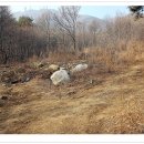 와우1리 이미지