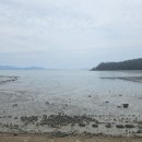 여다지회마을 이미지