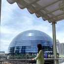 마리나베이샌즈 플로팅 애플스토어 나도 드디어 갔다! / 싱가폴 미슐랭 Tian Tian 치킨라이스