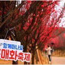 2025 섬 홍매화축제 이미지