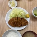 지브리미술관, 이노카시라공원, 토니스피자