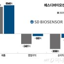 에스디 이미지