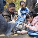 서울대공원노동조합 이미지