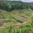 엄나무골농장 이미지