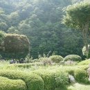 손수가든 티스토리