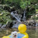 광덕지하수