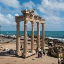 리비에라 이미지