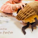 청심유치원 | 쇠똥구리 인형으로 역할놀이를 해야하는 이유 키즈노트 20개월 배변