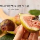 무화과 효능 및 먹는법 보관법 부작용까지 꽃 없는 과일? 이미지