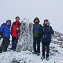 사우로3 이미지