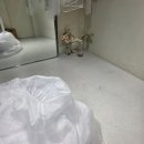 동행 공간 나누기 | 마리에드오늘 드레스투어 후기 (당일지정혜택 공유, 선택 X)