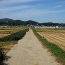 오덕 5리 이미지