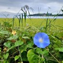 씨스페이스논산연무점 | 추석 모음. zip 생일 축하와 아리스타CC 야간 첫 라운딩