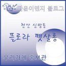 플로라펫 살롱 이미지