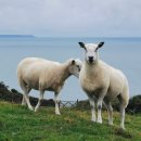 월마트비젼센타 이미지