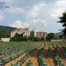 토비스콘도미니엄 이미지