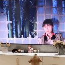 강시보고 깜놀한 강아지 이미지