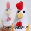 처갓집양념치킨서귀포 | [제주/서귀포] 원앙폭포 근처 양념삽겹살 맛집 <처가집 연탄구이>