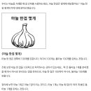마늘한접 몇개? 이미지