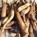 백세건강원 이미지