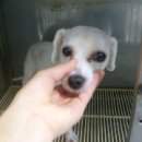 한성동물병원 이미지