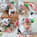 베니비디비치 | 200일 아기 베니비디비치 초밥컨셉 셀프촬영 대여후기
