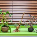 목화토금수 | 구미궁합 마음의 쉼터, 구미 철학관 목화토금수 방문 후기