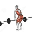 내리 복싱 다이어트 이미지