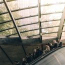 왕초보 생활영어 이미지