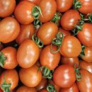 동일청과 이미지