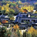 지곡초교 삼거리 이미지