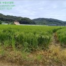 보덕2리마을회관 이미지