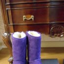 에그플란트(eggplant) 이미지