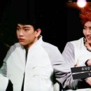 서울종합TV 이미지