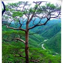 영월 곰봉 김삿갓 계곡....2008년 6월 29일 이미지