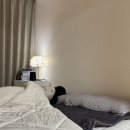 6910 | 귀뚜라미 카본매트 vs 온수매트 비교, 실사용 후기로 본 장단점 차이