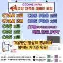 코딩코딩 이미지