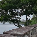 청주외국어번역행정사사무소 이미지