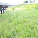 민들레공인중개사사무소 이미지