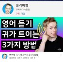 잘나가는 강아지 이미지