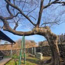 선여불로 | 제주도기도터 조천읍 와산리 불돗당 그리고 제주도숙소 고요산책 추천.