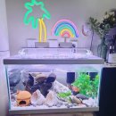 빈센트공인중개사사무소 이미지