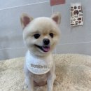몽아뜨 이미지
