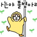 매탄스포츠 이미지