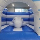 숲속의 이글루 이미지