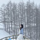 동화카프라자 이미지