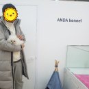 안다켄넬반려견을품에안다
