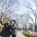 용산-104 이미지