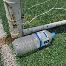 넙뒤공원 이미지